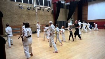 Shefford Community Festival open Karate evening