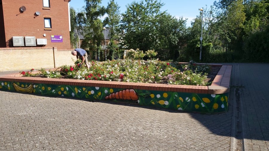 Flowers in Pamoli Square