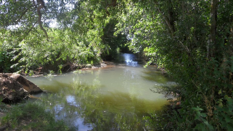 The Beach in Shefford