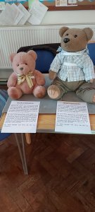 Teddies back from their adventures