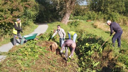 Greenspace Conservation Group at Bellcote Meadow