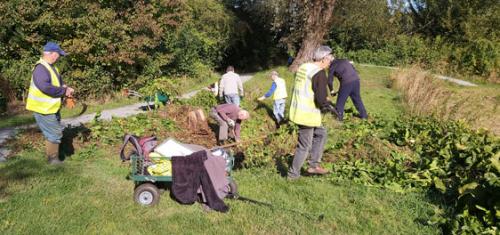 Greenspace Conservation Group at Bellcote Meadow