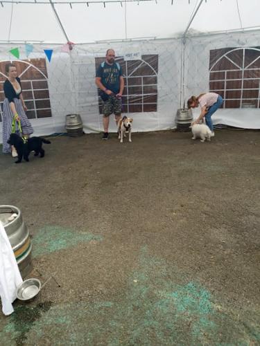 Dog Show at The Railway Steamer